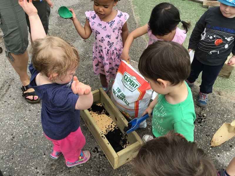 todllers planting their garden